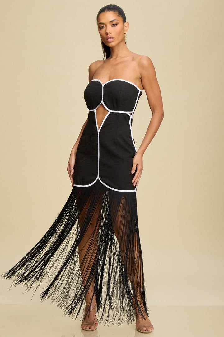 THE FRINGE DRESS
