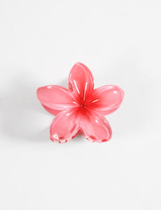 ACCESORIO CABELLO SYMPHORINE