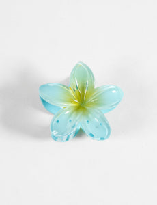 ACCESORIO CABELLO SYMPHORINE
